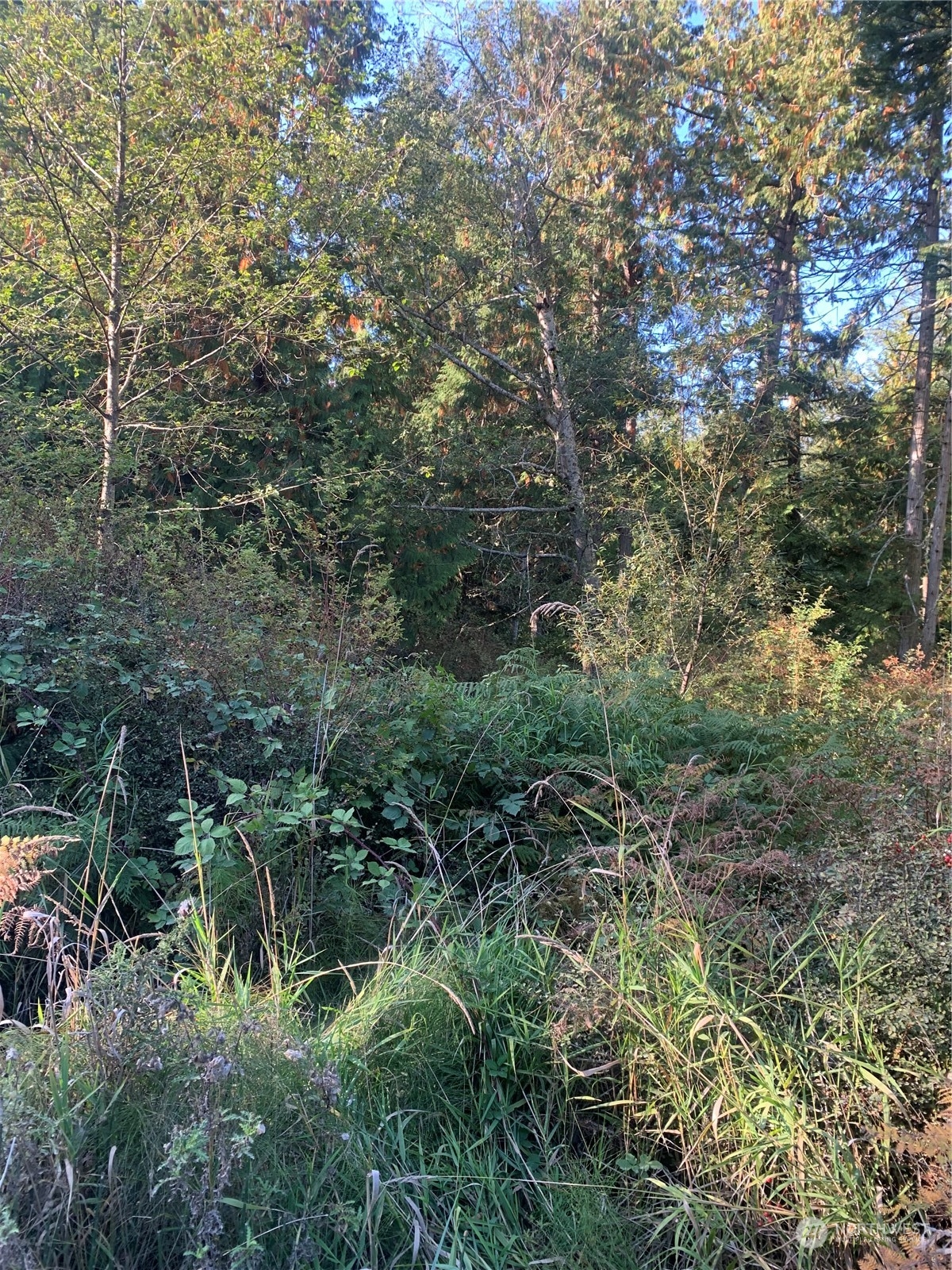 20 Harmon Ranch Road, For Sale in Decatur Island Zoocasa