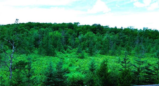 N8281 State Highway 27, House other with 3 bedrooms, 2 bathrooms and null parking in Ladysmith WI | Image 36