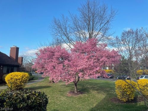 2c-25 Bloomingdale Dr, Hillsborough, NJ, 08844-5506 | Card Image