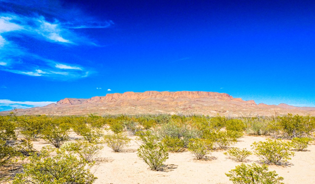 Land in Terlingua 3