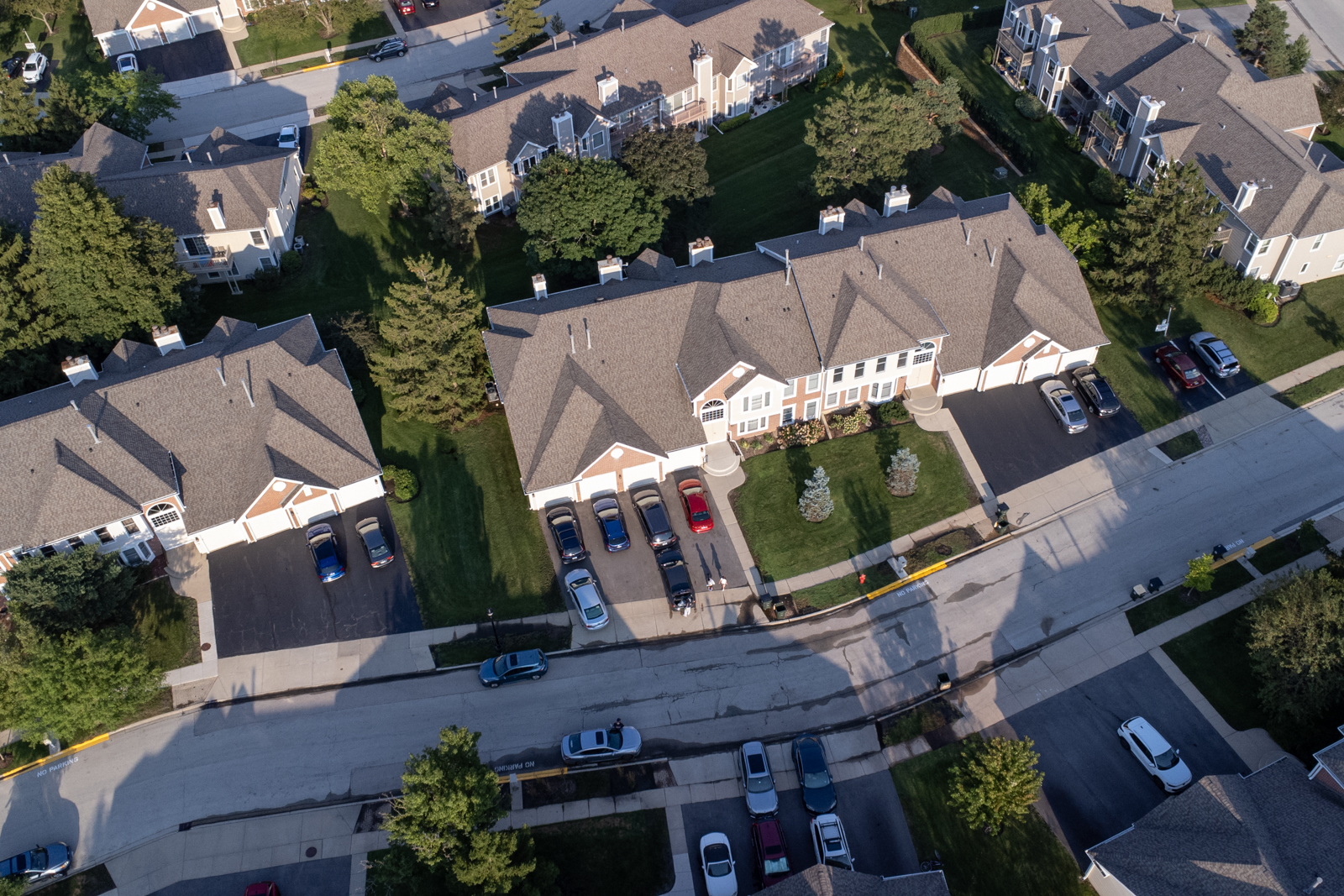 Residential in Elk Grove Village 2