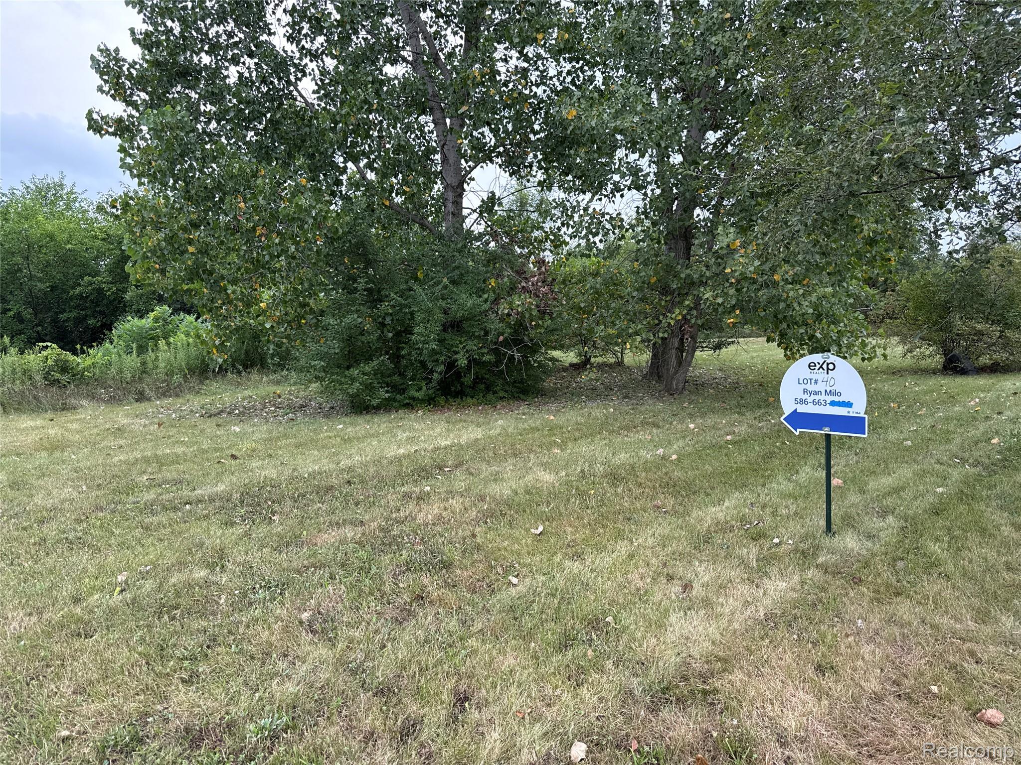 Land in Augusta Charter Township 2
