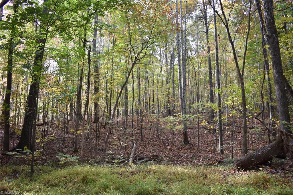 Land in Thomasville