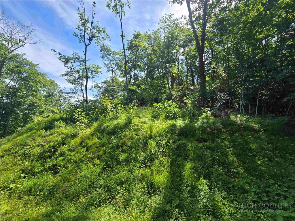 Land in Sugar Mountain 5