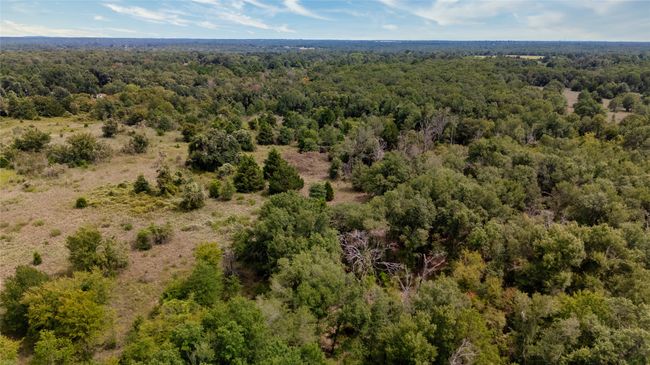 Bird's eye view | Image 23