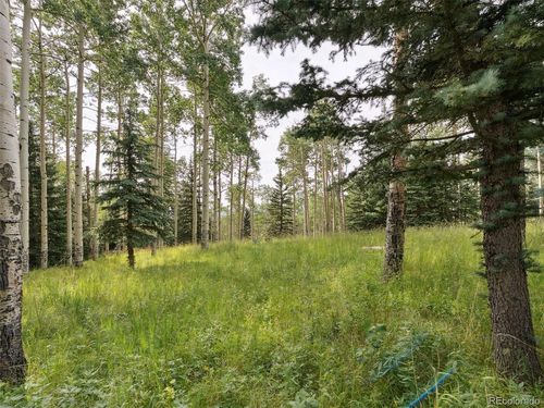0 Snyder Mountain Rd, Evergreen, CO, 80439 | Card Image