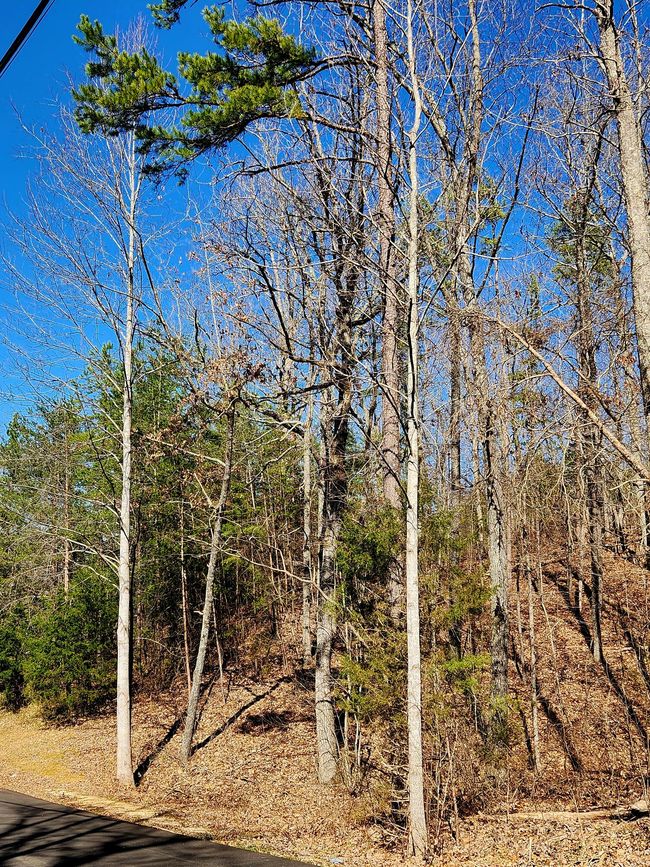 0 N Woods Ln, Home with 0 bedrooms, 0 bathrooms and null parking in Trenton GA | Image 4