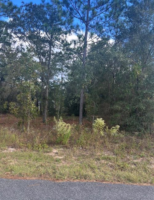 TBD Locust Loop Place Lot 8, Ocala, FL, 34472 | Card Image