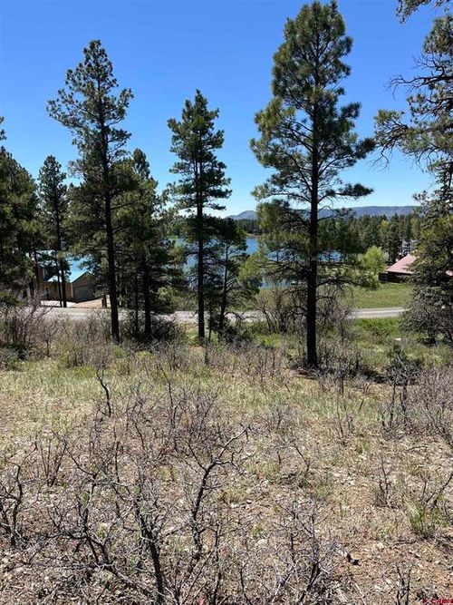 1318 Cloud Cap Ave, Pagosa Springs, CO, 81147-9131 | Card Image