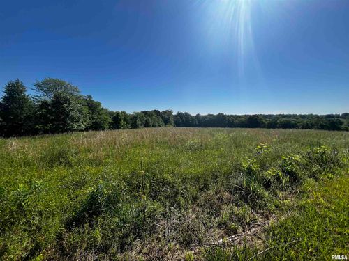 000 Fox Ln, Jonesboro, IL, 62952 | Card Image