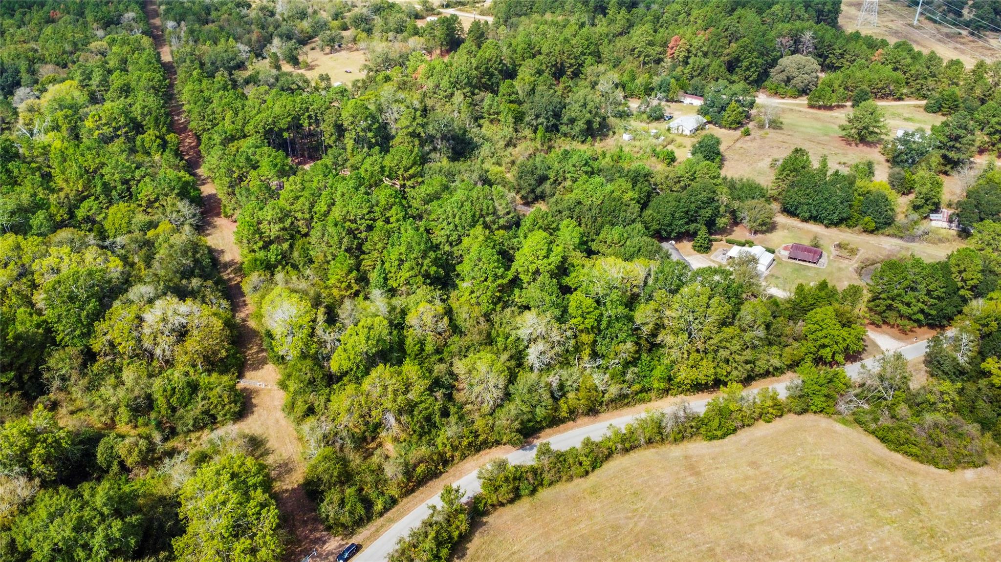 Land in Montgomery 4