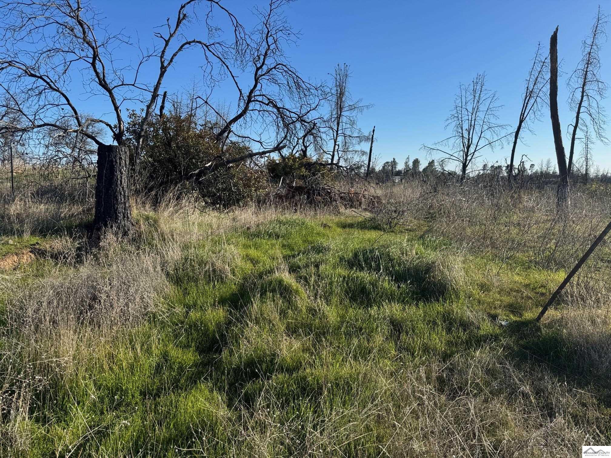 Land in Corning 4