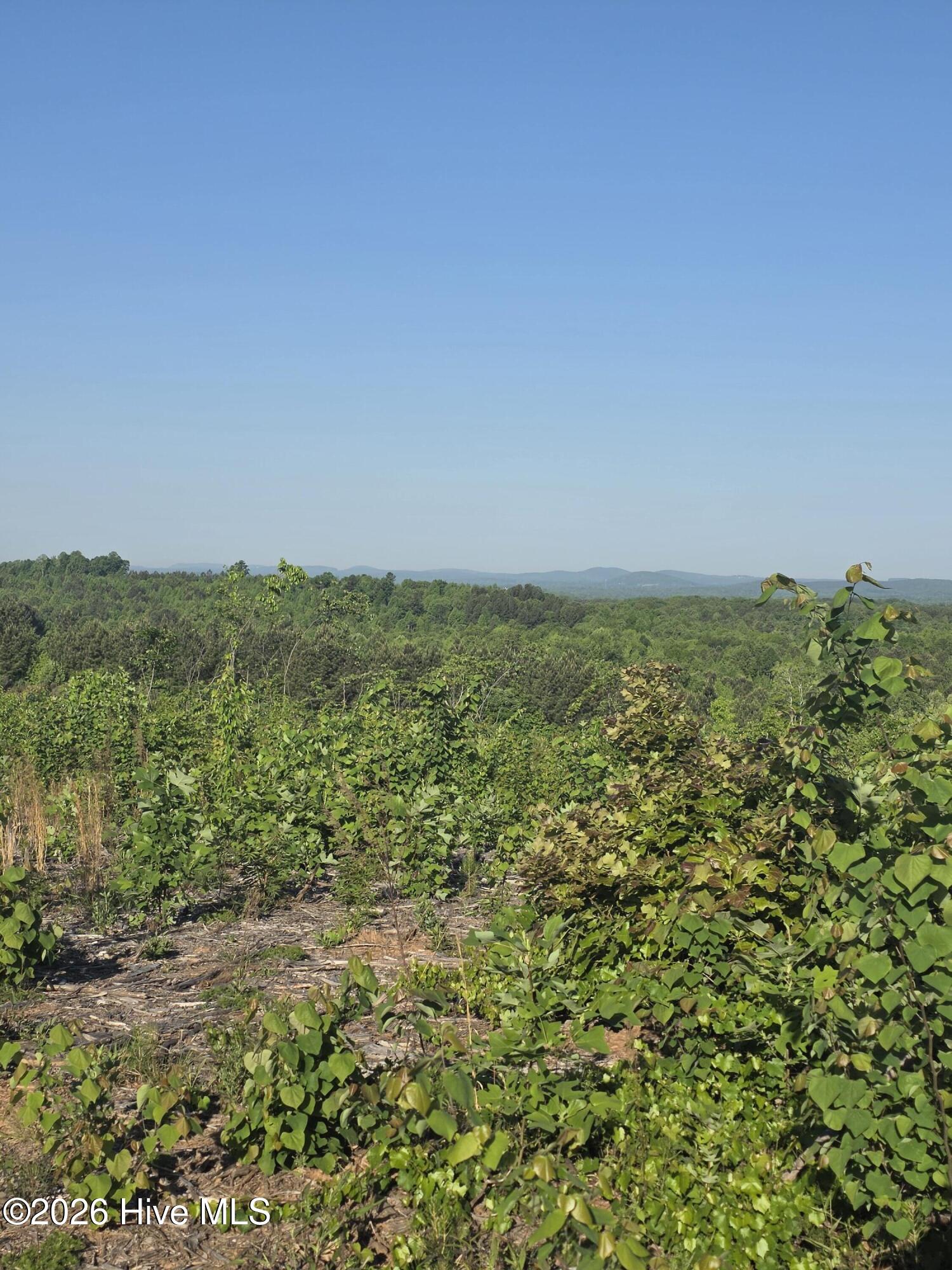 Land in Asheboro 3