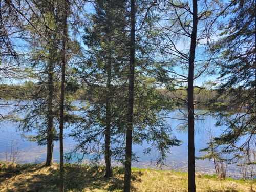 2100 Wilderness Tr, Conover, WI, 54519 | Card Image