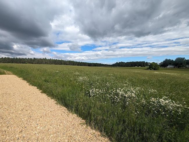 Feild driveway, newly graveled | Image 9