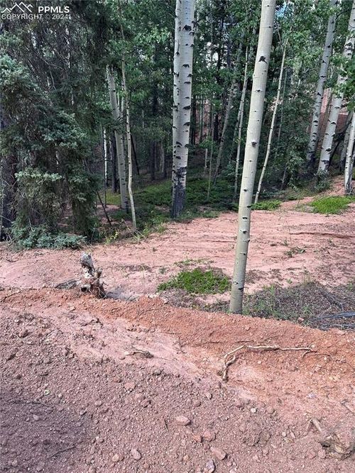 1301 Calcite Dr, Divide, CO, 80814 | Card Image