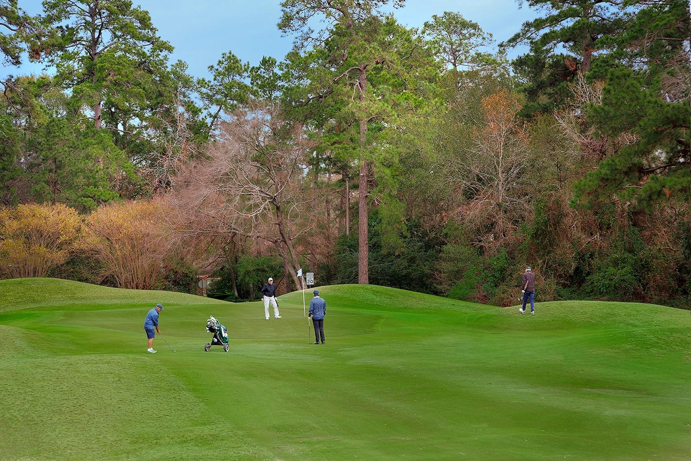 Residential in The Woodlands 2