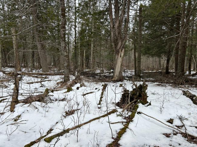 743 Woodlawn Rd, House other with 2 bedrooms, 1 bathrooms and null parking in Pickerel WI | Image 65