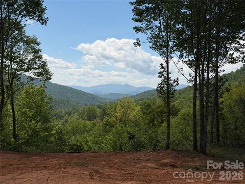 99999 Tipton Lane, Bakersville, NC, 28705 | Card Image