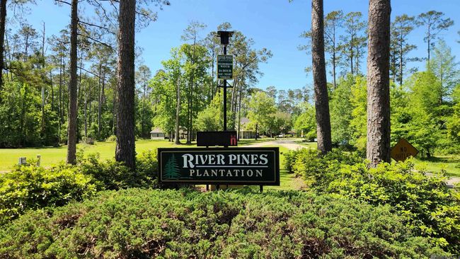 31531 River Pines Dr, Home with 0 bedrooms, 0 bathrooms and null parking in Springfield LA | Image 12