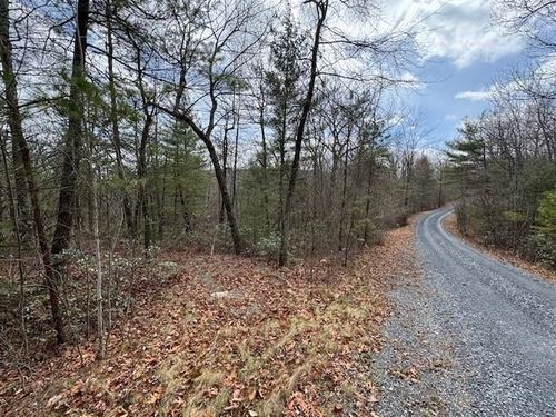 Lot 45 Fetterbush Ln, HINTON, VA, 22831 | Card Image