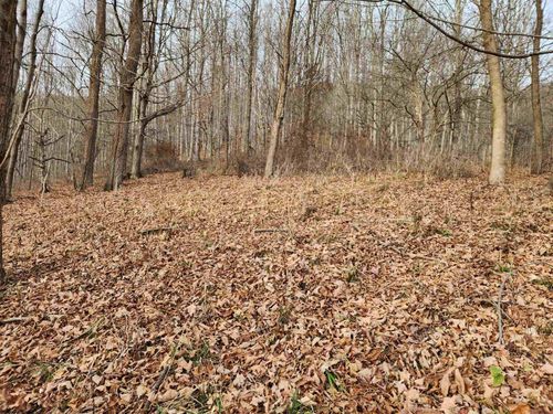 Lot 4 High Mountain Rd, Harman, WV, 26270-7134 | Card Image