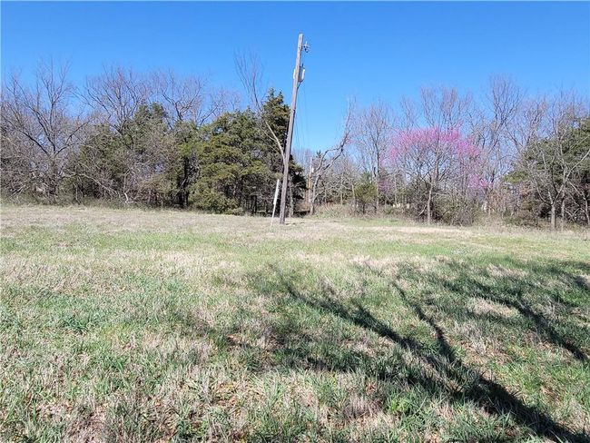 View of yard | Image 77
