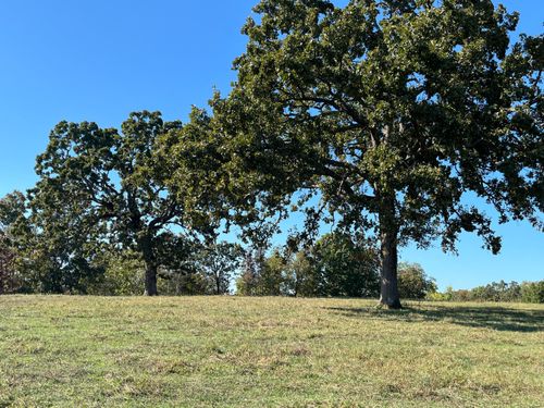 000 County Road 113, Alton, MO, 65606 | Card Image