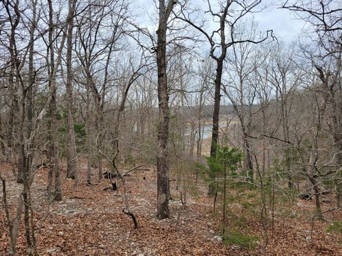 000 Lost Mine Rd, Theodosia, MO, 65761 | Card Image