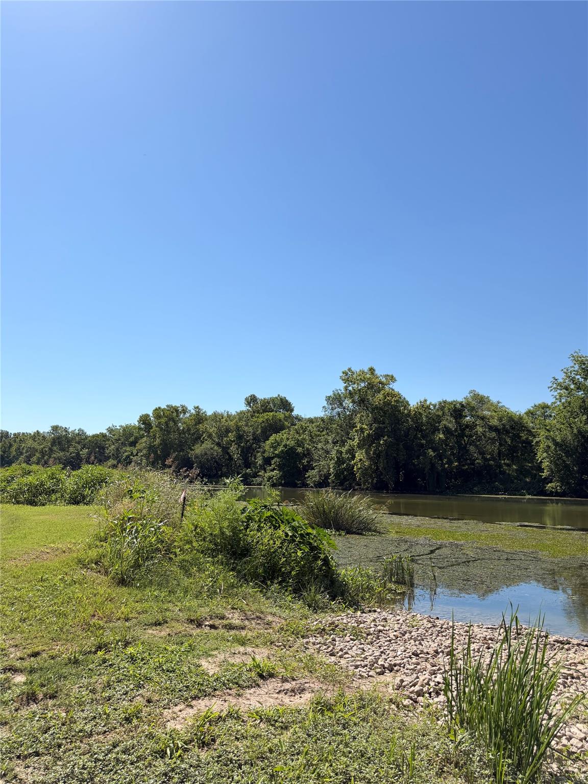 Land in Austin 4