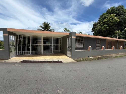 Carr # 31, Km 10, 0 Sector El Comun, RIO BLANCO, PR, 00744 | Card Image