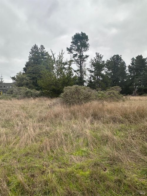 35604 Timber Ridge Rd, The Sea Ranch, CA, 95497 | Card Image