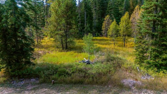 1042 Fir Dr, Home with 0 bedrooms, 0 bathrooms and null parking in Cusick WA | Image 32