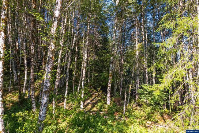 0 Bald Mountain Rd, Home with 0 bedrooms, 0 bathrooms and null parking in Beaver OR | Image 9