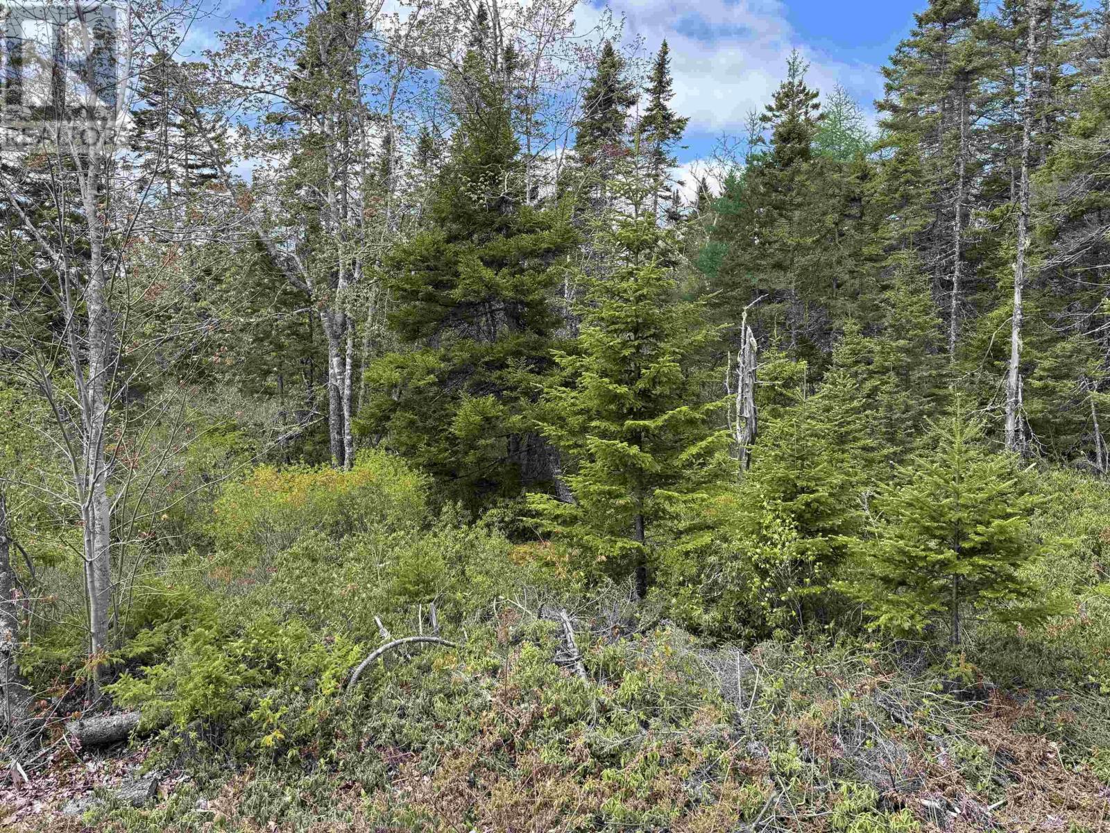 Land in Bayport 3