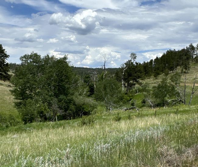 R-9 Mustang Valley Road, Home with 0 bedrooms, 0 bathrooms and null parking in Hulett WY | Image 8