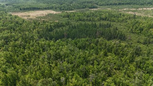 TBD Speckled Trout Road, Sandstone, MN, 55072 | Card Image