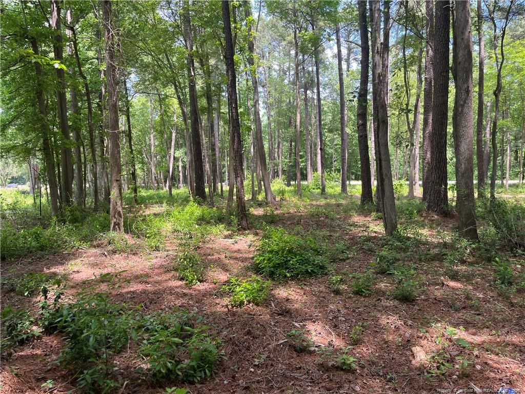 Land in Maxton 5