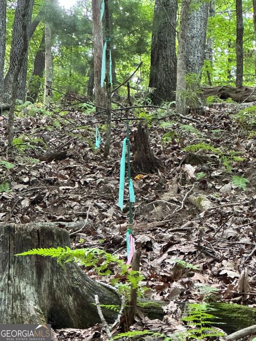 Lot 12 Picklesimer Mtn Rd, Morganton, GA, 30560 | Card Image