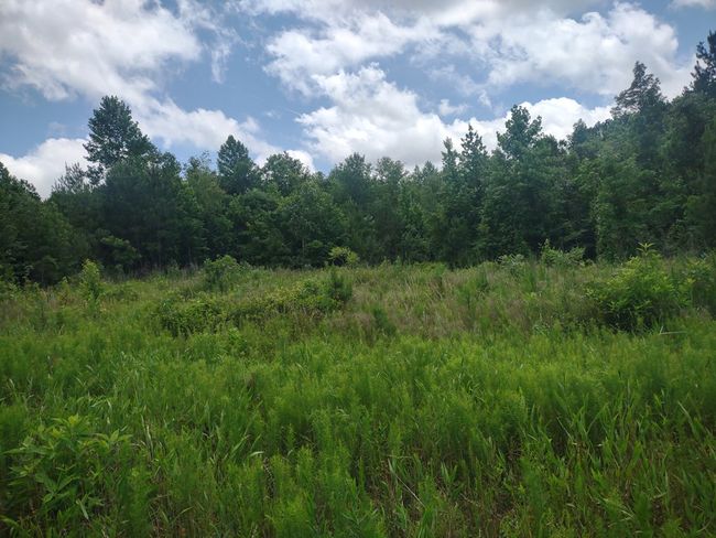 1100 Sapp Rd, House other with 3 bedrooms, 3 bathrooms and 3 parking in Dry Branch GA | Image 16