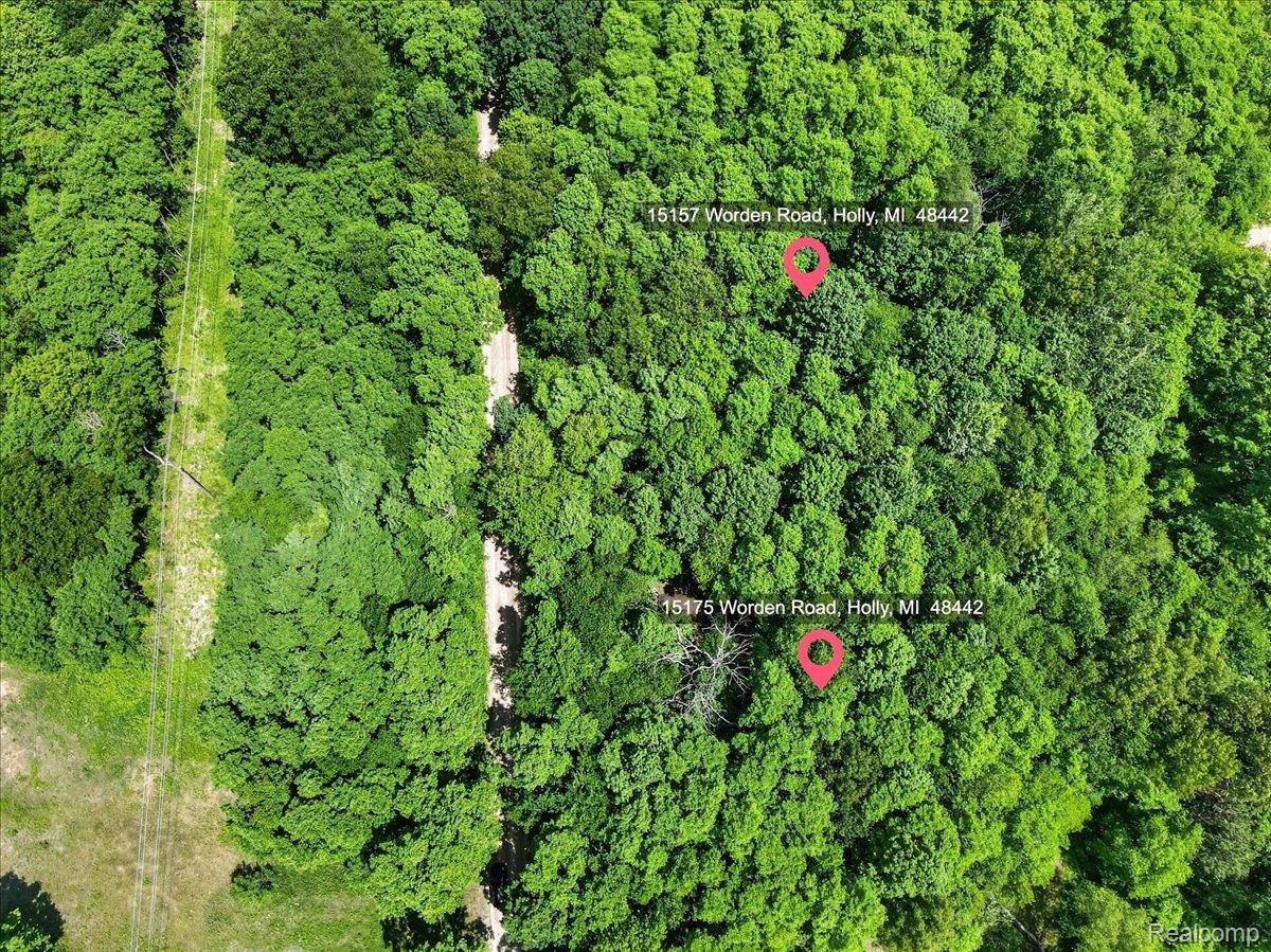 Residential in Groveland Township 3