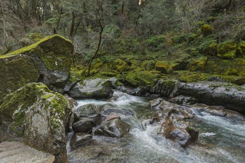 11 Upton Road, Somerset, CA, 95684 | Card Image