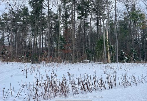 Lot 5 Algonquin Trail, Tiny, ON, L0L | Card Image