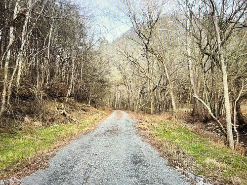 9865 Martin Creek Rd, Bloomington Springs, TN, 38545-4574 | Card Image