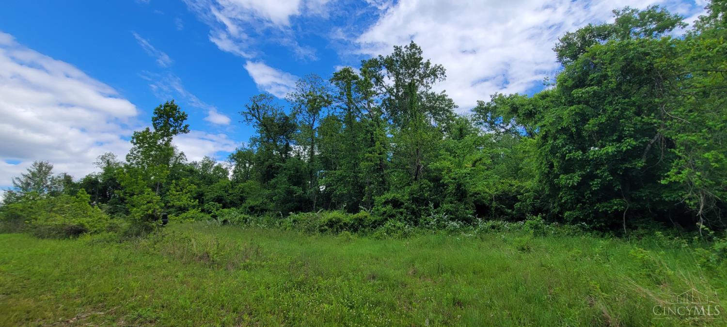 Land in Monroe Twp 4