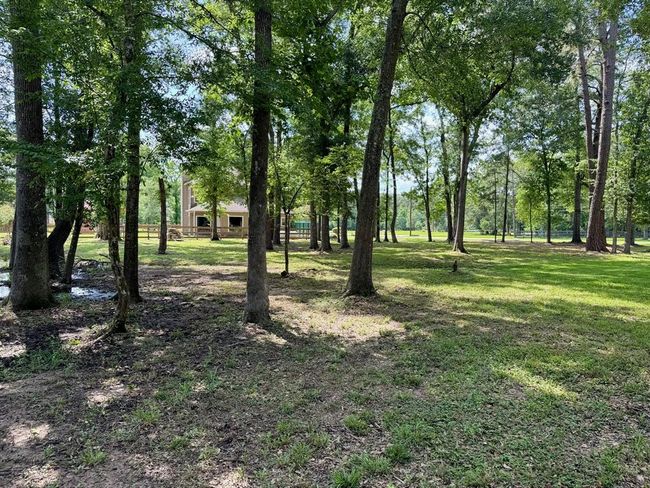 29015 Commons Oaks Dr, House other with 5 bedrooms, 4 bathrooms and 2 parking in Huffman TX | Image 15
