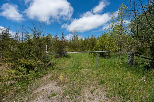00 Mccutcheon Rd, Stone Mills, ON, K0K2W0 | Card Image