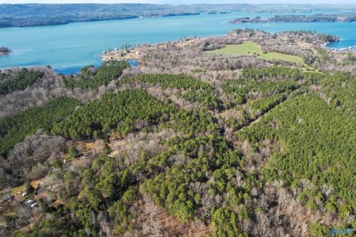 20 Acres Murphy Hill Rd, Langston, AL, 35755 | Card Image