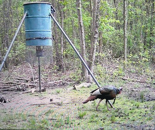 1093 Cr 4320, Dekalb, TX, 75559 | Card Image