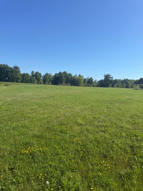 TBD Hummingbird Lane Sw, Alexandria, MN, 56308 | Card Image